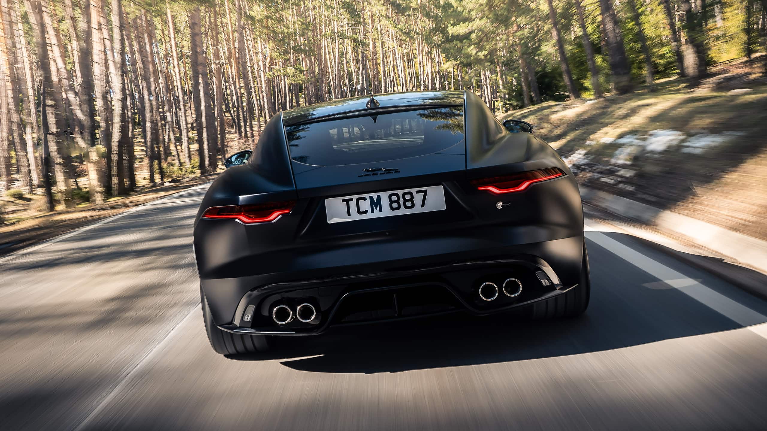 F-TYPE BACK VIEW